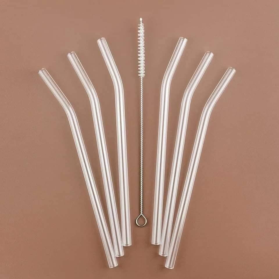Lot de 6 pailles en verre+brosse