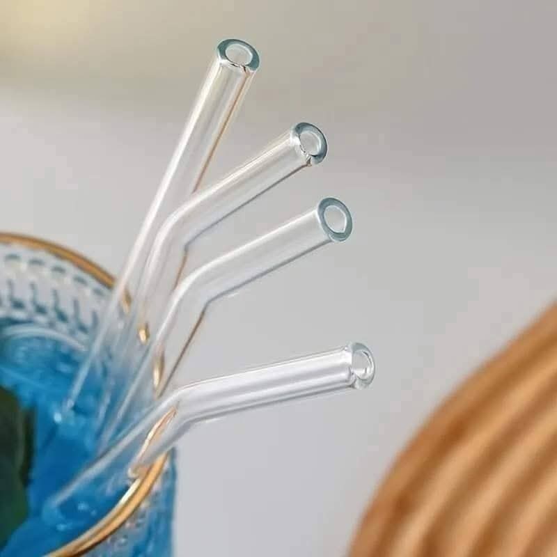 Lot de 6 pailles en verre+brosse